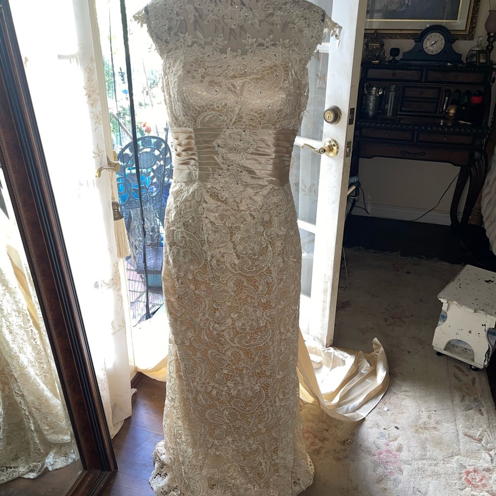Elegant Hebeos Lace Gown in Cream and Gold